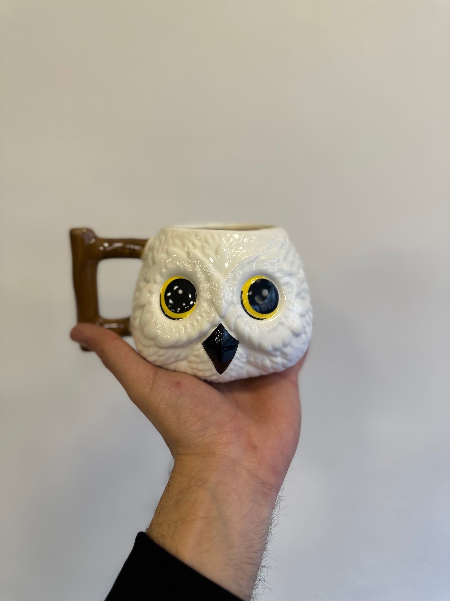 Owl Mug