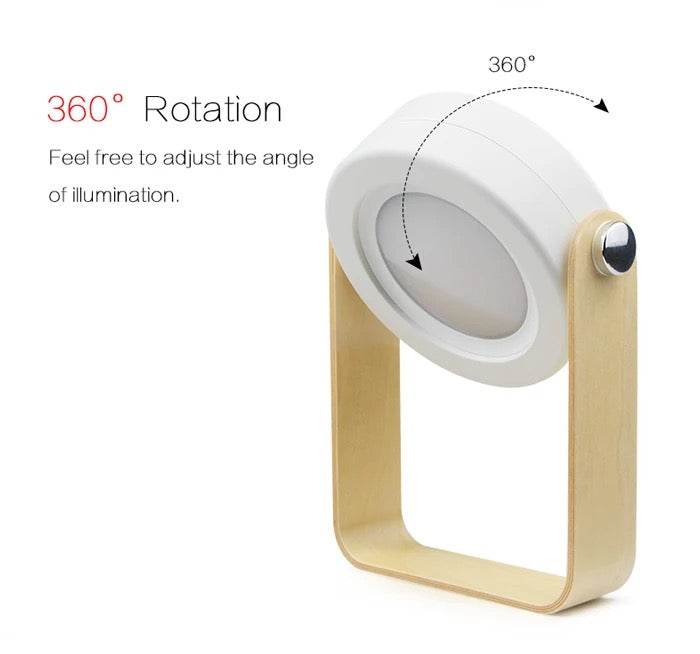 Portable lantern light π