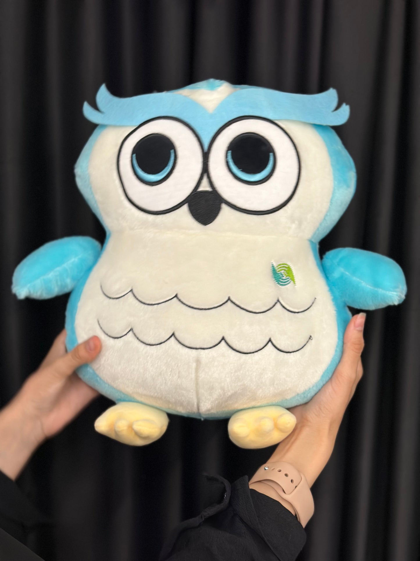 Owl Big Plushie