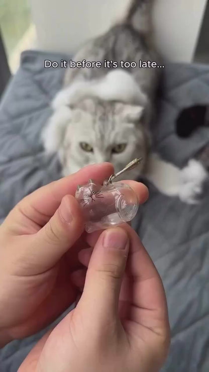 Your Cat’s Fur portocle