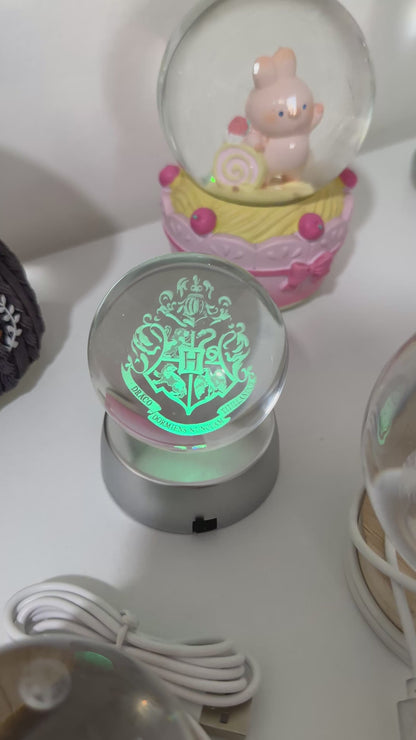 Harry potter snowglobe