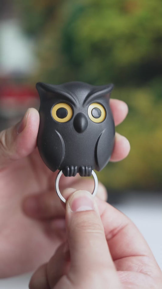 Product Title:

 Pop-Eye Keychain – Cute & Functional Key Holder