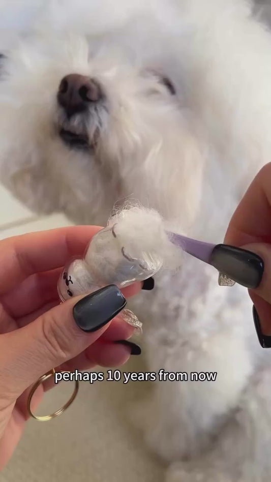Dog Fur Keepsake Keychain